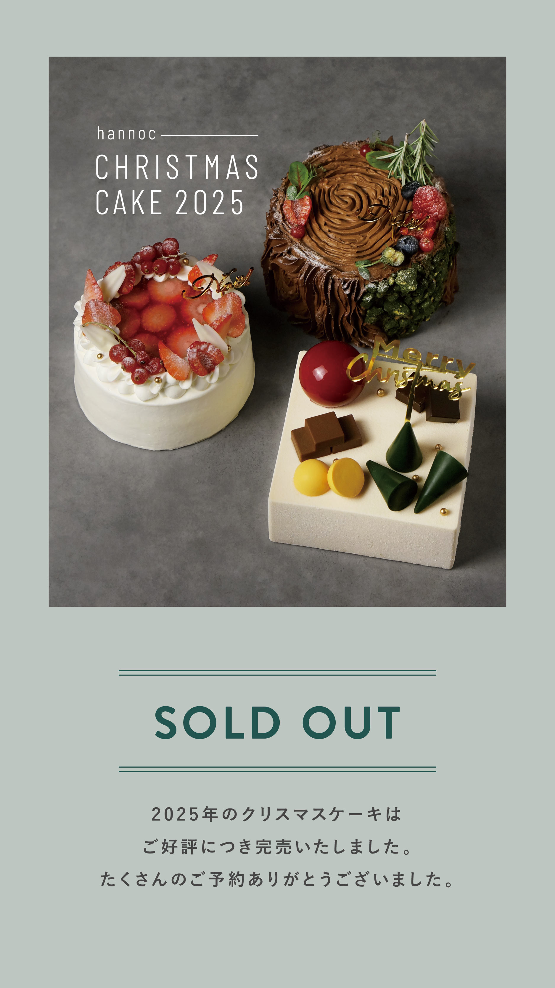 2024 hannoc CHRISTMAS CAKE