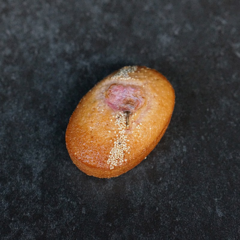 桜のフィナンシェ